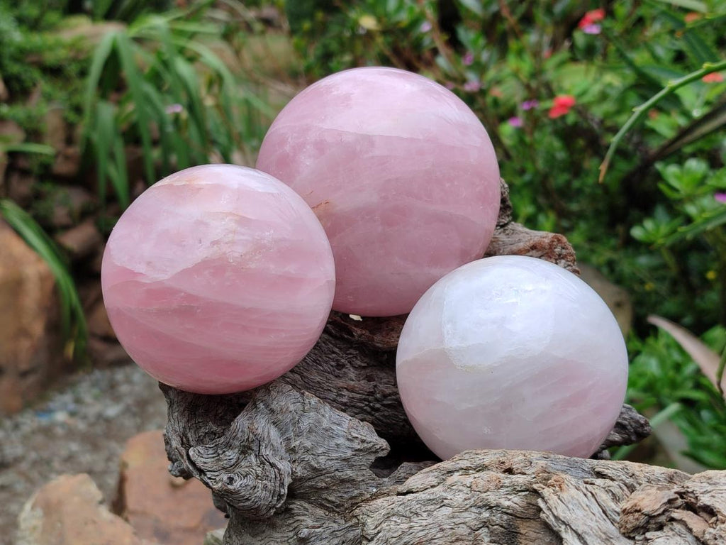Polished Star Rose Quartz Spheres x 4 From Madagascar