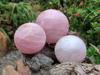 Polished Star Rose Quartz Spheres x 4 From Madagascar