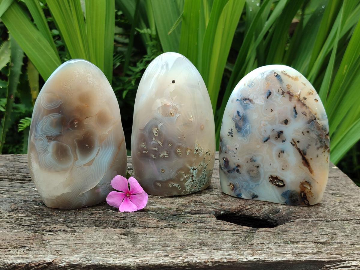 Polished Banded Agate Standing Free Forms x 3 From Madagascar