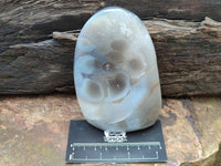 Polished Banded Agate Standing Free Forms x 3 From Madagascar