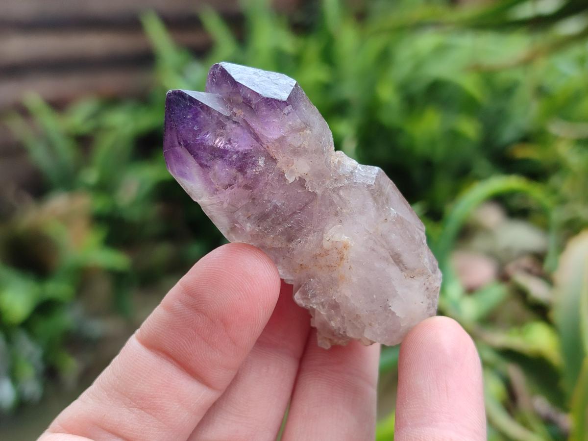 Natural Window Amethyst Crystals x 12 From Chiredzi, Zimbabwe