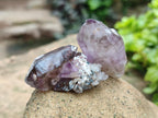 Natural Window Amethyst Crystals x 12 From Chiredzi, Zimbabwe