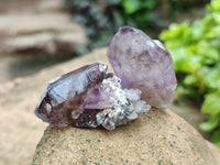 Natural Window Amethyst Crystals x 12 From Chiredzi, Zimbabwe