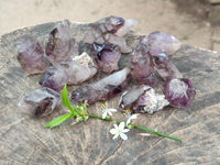 Natural Window Amethyst Crystals x 12 From Chiredzi, Zimbabwe