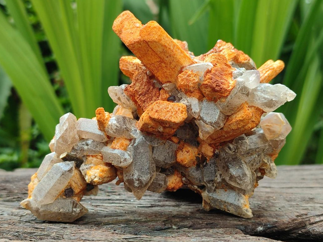 Natural Mix Of Multi Mineral Specimens x 6 From Southern Africa