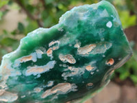 Polished On One Side Mtorolite Plates x 4 From Mutorashanga, Zimbabwe