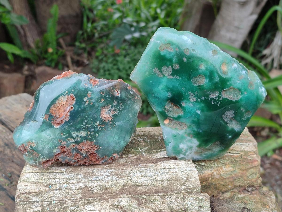 Polished On One Side Mtorolite Plates x 4 From Mutorashanga, Zimbabwe