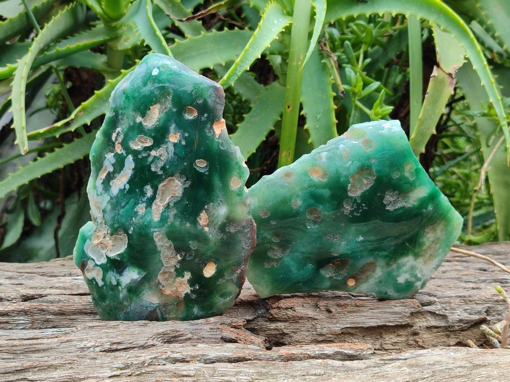 Polished On One Side Mtorolite Plates x 4 From Mutorashanga, Zimbabwe