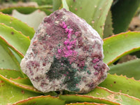 Natural Salrose Cobaltion Dolomite Specimens x 4 From Kakanda, Congo