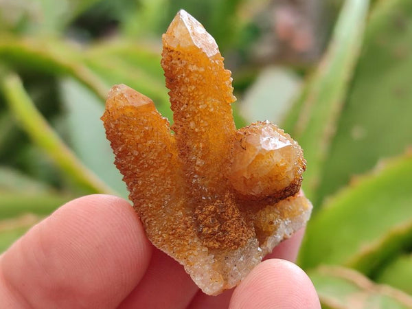 Natural Solar Spirit Quartz Clusters and Crystals x 35 From Boekenhouthoek, South Africa