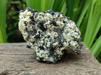 Natural Schorl Black Tourmaline One with Vermiculite x 2 From Erongo, Namibia