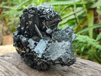 Natural Schorl Black Tourmaline One with Vermiculite x 2 From Erongo, Namibia