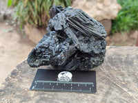 Natural Schorl Black Tourmaline One with Vermiculite x 2 From Erongo, Namibia