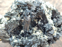 Natural Schorl Black Tourmaline One with Vermiculite x 2 From Erongo, Namibia
