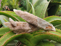 Natural Drusy Quartz Coated Spearhead Calcite Specimens x 4 From Albert's Mountain, Lesotho