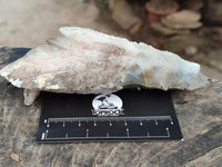 Natural Drusy Quartz Coated Spearhead Calcite Specimens x 4 From Albert's Mountain, Lesotho