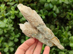 Natural Drusy Quartz Coated Spearhead Calcite Specimens x 4 From Albert's Mountain, Lesotho