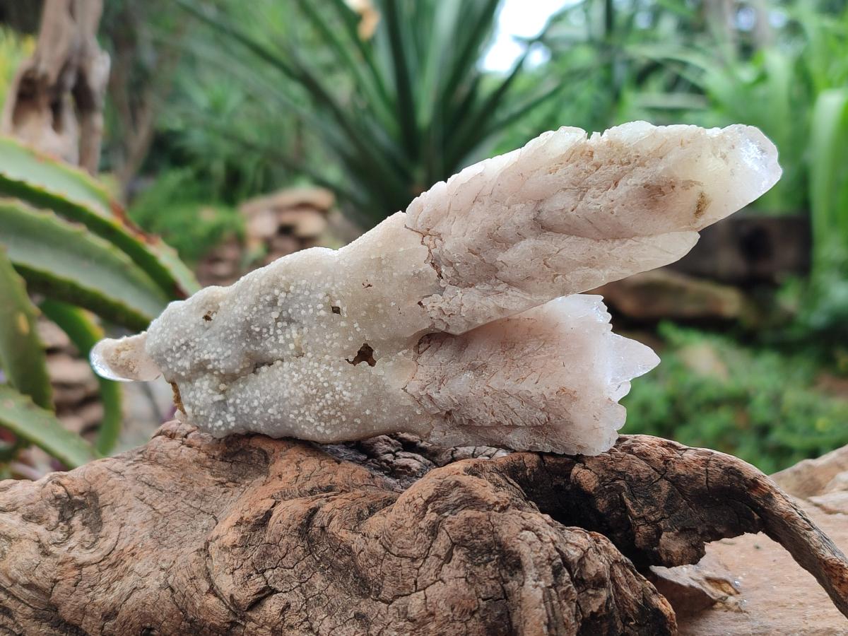 Natural Drusy Quartz Coated Spearhead Calcite Specimens x 4 From Albert's Mountain, Lesotho
