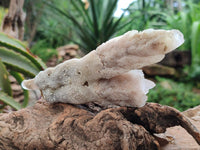 Natural Drusy Quartz Coated Spearhead Calcite Specimens x 4 From Albert's Mountain, Lesotho
