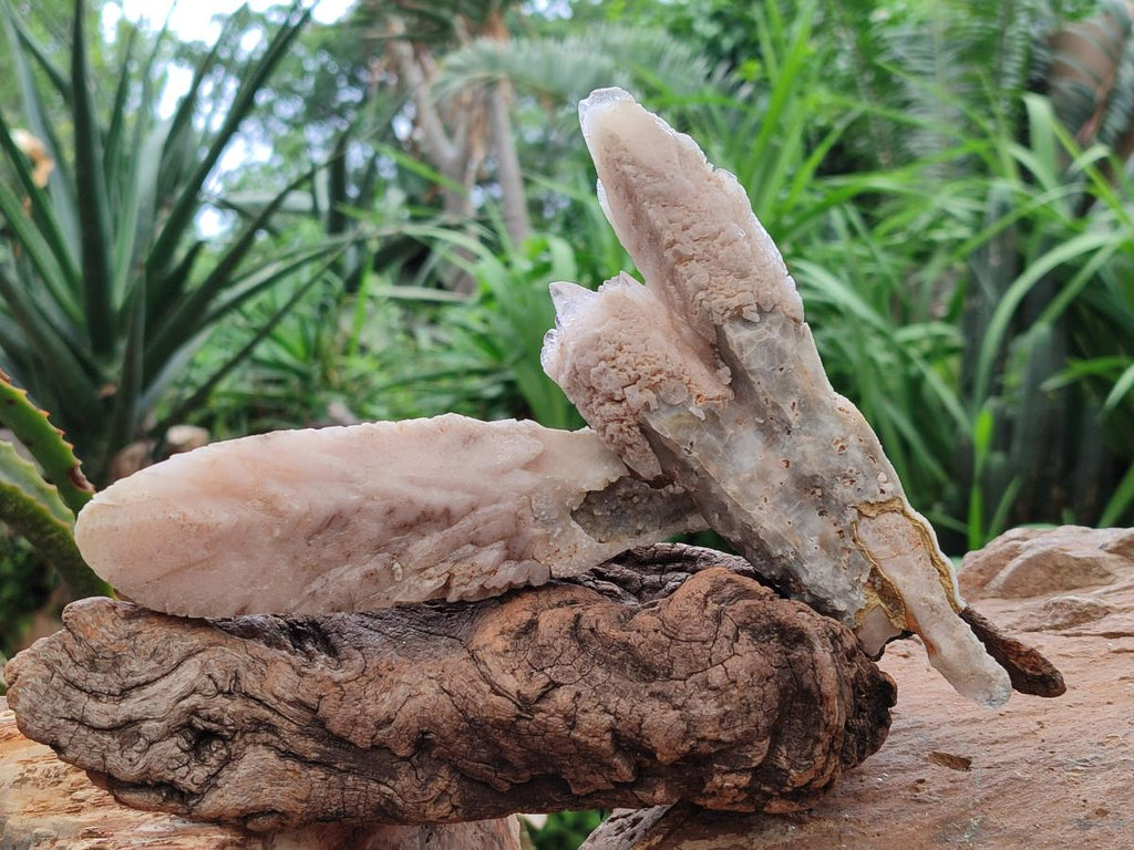 Natural Drusy Quartz Coated Spearhead Calcite Specimens x 4 From Albert's Mountain, Lesotho