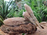 Natural Drusy Quartz Coated Spearhead Calcite Specimens x 4 From Albert's Mountain, Lesotho