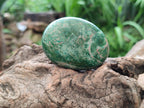 Polished Large Verdite Palm Stones x 6 From Zimbabwe