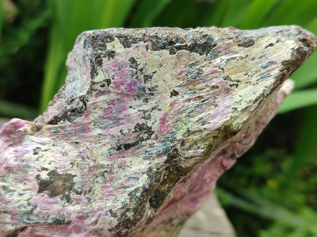 Natural Stichtite Cobbed Specimens x 2 From Barberton, South Africa