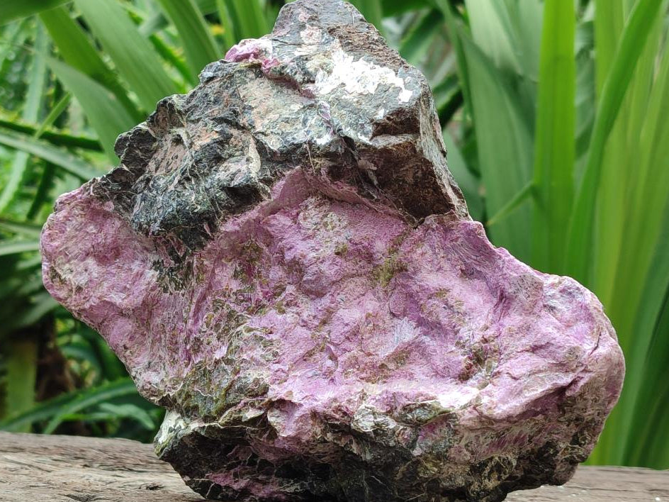 Natural Stichtite Cobbed Specimens x 2 From Barberton, South Africa