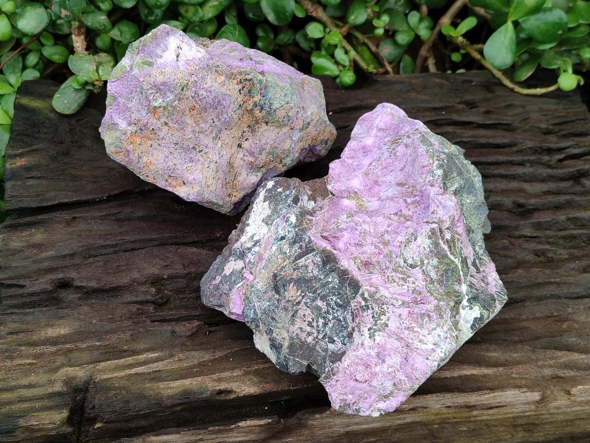 Natural Stichtite Cobbed Specimens x 2 From Barberton, South Africa
