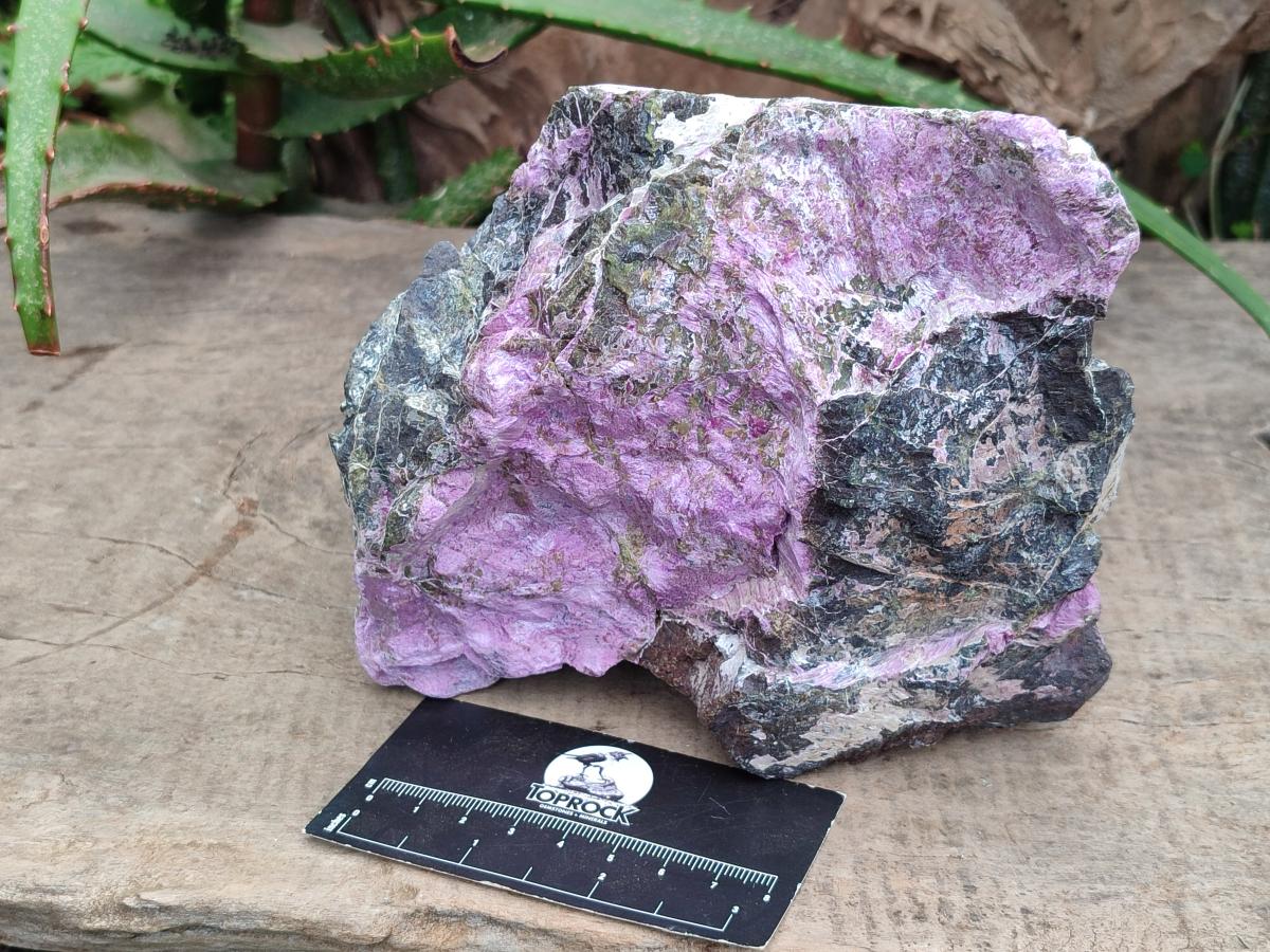 Natural Stichtite Cobbed Specimens x 2 From Barberton, South Africa