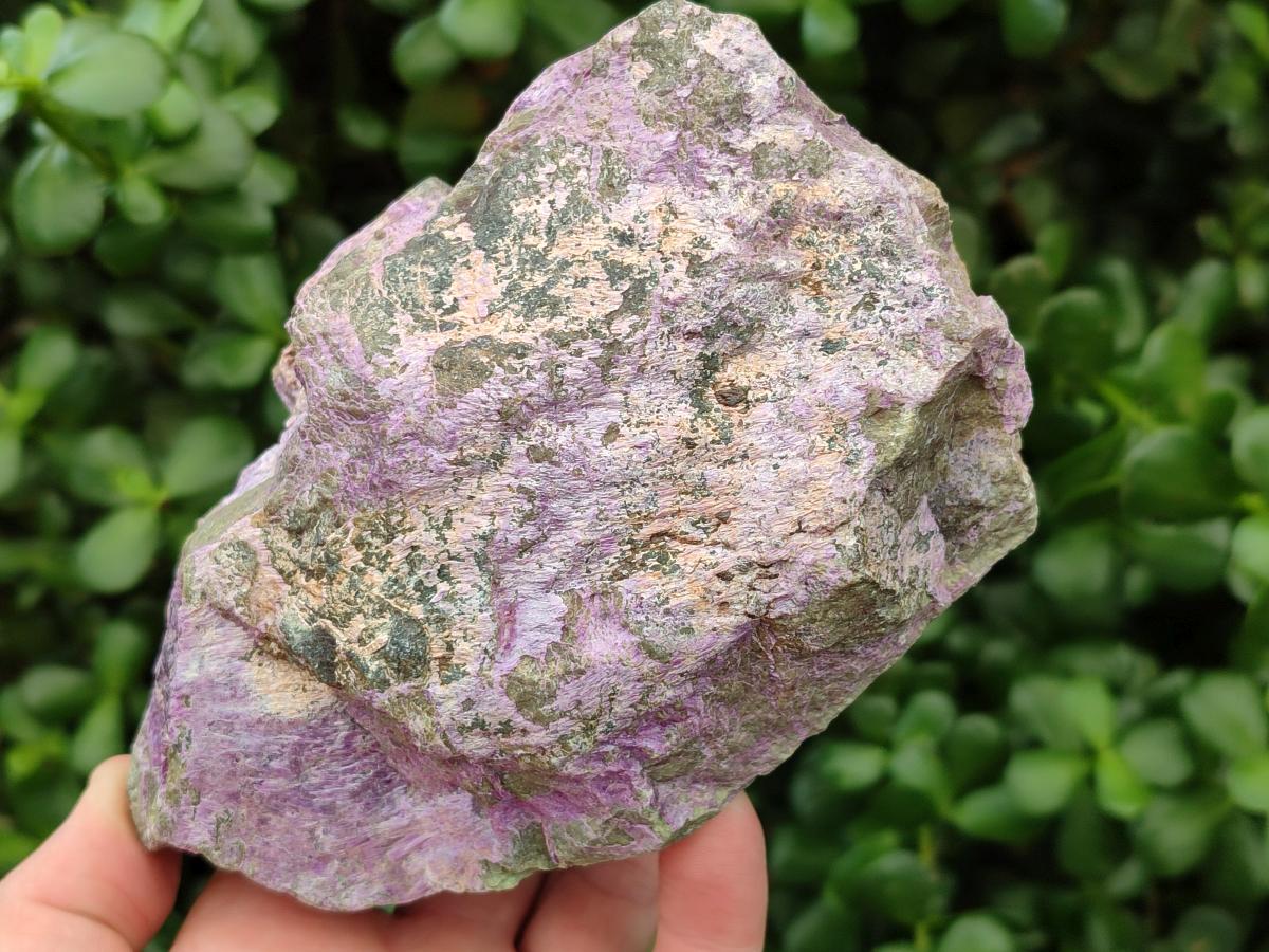 Natural Stichtite Cobbed Specimens x 2 From Barberton, South Africa