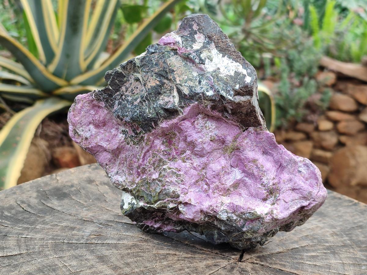 Natural Stichtite Cobbed Specimens x 2 From Barberton, South Africa