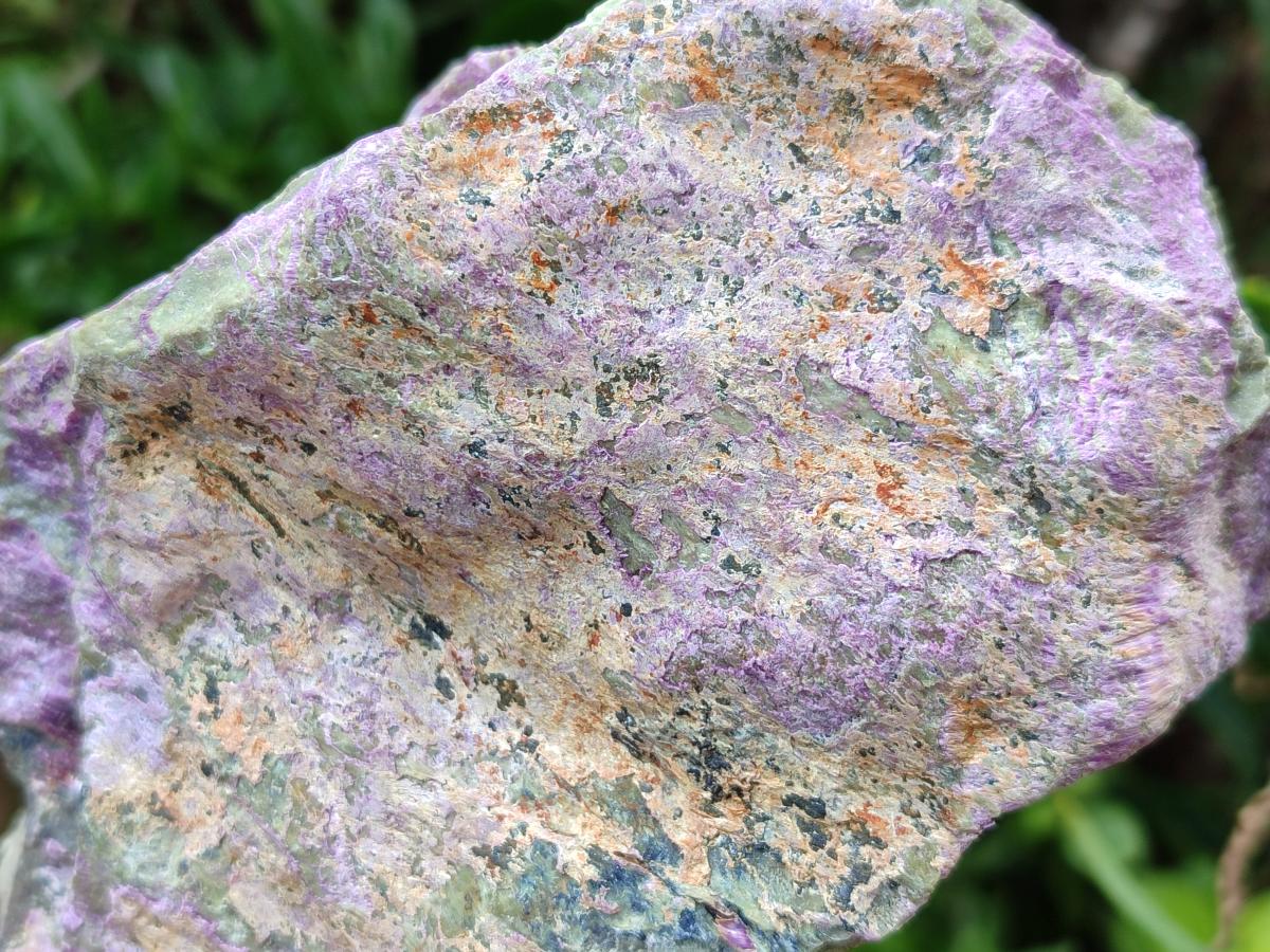 Natural Stichtite Cobbed Specimens x 2 From Barberton, South Africa