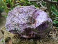 Natural Stichtite Cobbed Specimens x 2 From Barberton, South Africa