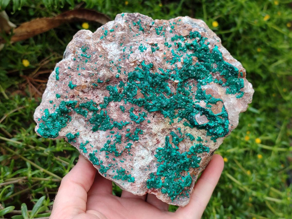 Natural Dioptase On Dolomite Specimen x 1 From Likasi, Congo