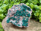 Natural Dioptase On Dolomite Specimen x 1 From Likasi, Congo