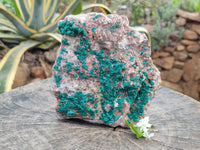Natural Dioptase On Dolomite Specimen x 1 From Likasi, Congo