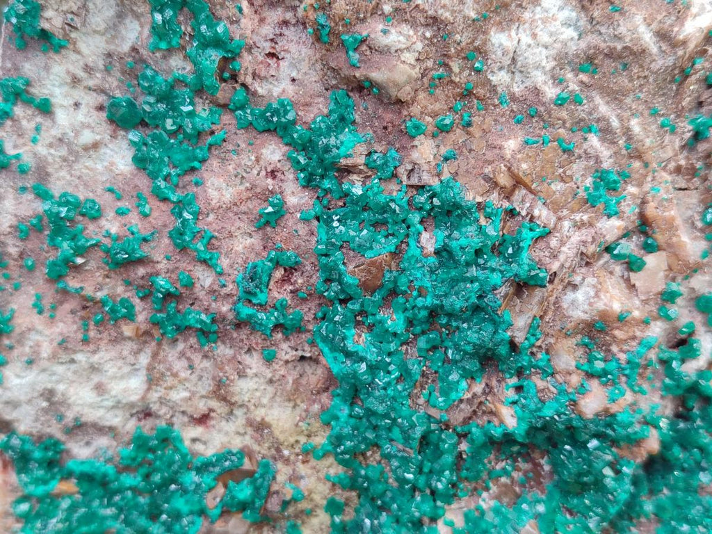 Natural Dioptase On Dolomite Specimen x 1 From Likasi, Congo