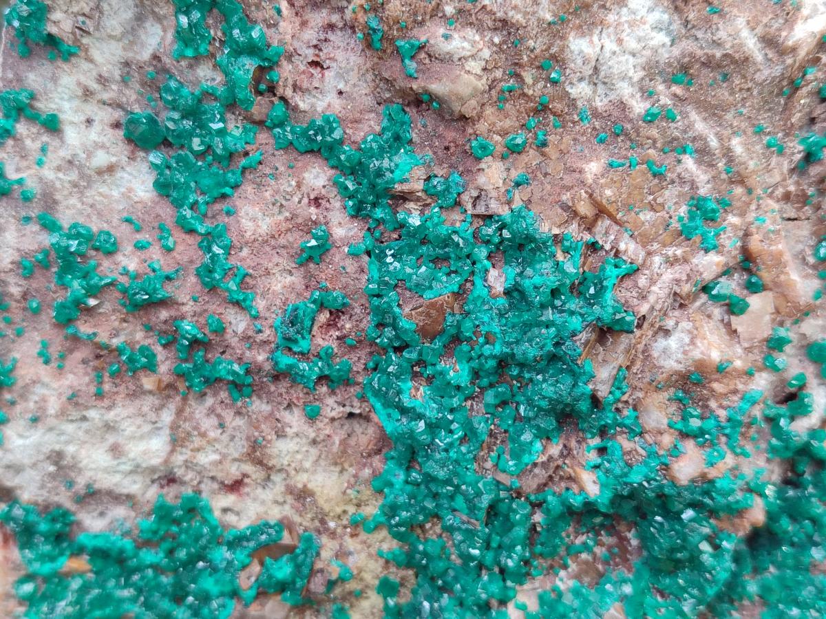 Natural Dioptase On Dolomite Specimen x 1 From Likasi, Congo