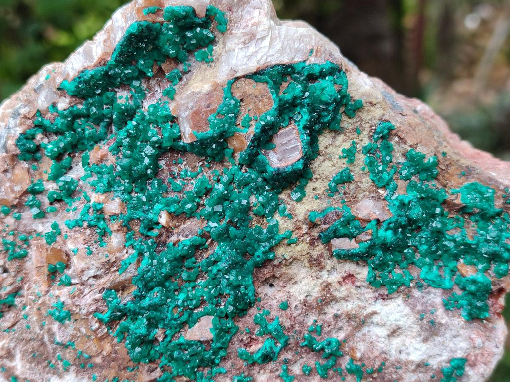 Natural Dioptase On Dolomite Specimen x 1 From Likasi, Congo