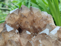 Natural Cascading Smokey Citrine Quartz Cluster x 1 From Luena, Congo