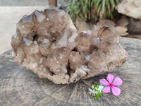 Natural Cascading Smokey Citrine Quartz Cluster x 1 From Luena, Congo