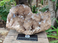Natural Cascading Smokey Citrine Quartz Cluster x 1 From Luena, Congo