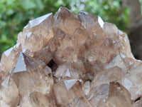 Natural Cascading Smokey Citrine Quartz Cluster x 1 From Luena, Congo