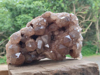 Natural Cascading Smokey Citrine Quartz Cluster x 1 From Luena, Congo