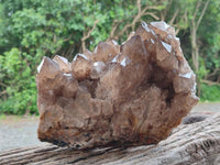 Natural Cascading Smokey Citrine Quartz Cluster x 1 From Luena, Congo
