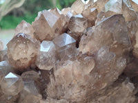 Natural Cascading Smokey Citrine Quartz Cluster x 1 From Luena, Congo