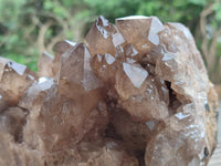 Natural Cascading Smokey Citrine Quartz Cluster x 1 From Luena, Congo