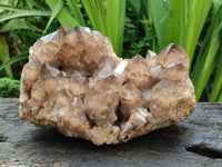 Natural Cascading Smokey Citrine Quartz Cluster x 1 From Luena, Congo