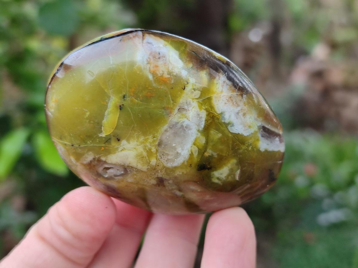 Polished Large Green Opal Palm Stones x 12 From Betroka, Madagascar